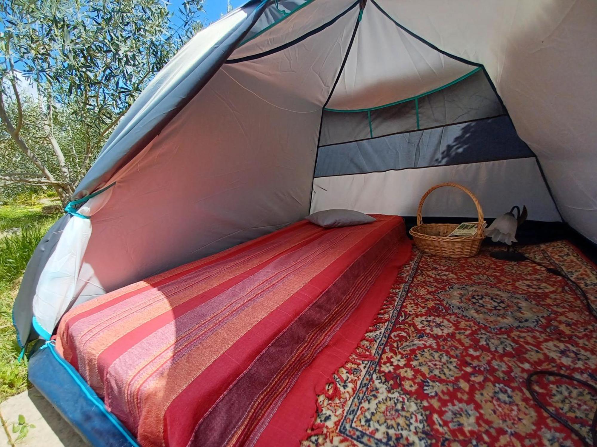 Eco Hostel Vela Vega Butera Exteriör bild